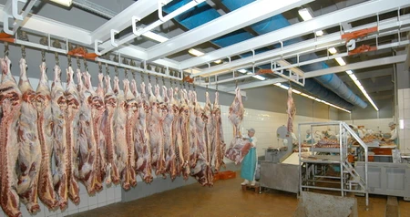 Дезинсекция на мясокомбинате в Рузе, цены на услуги