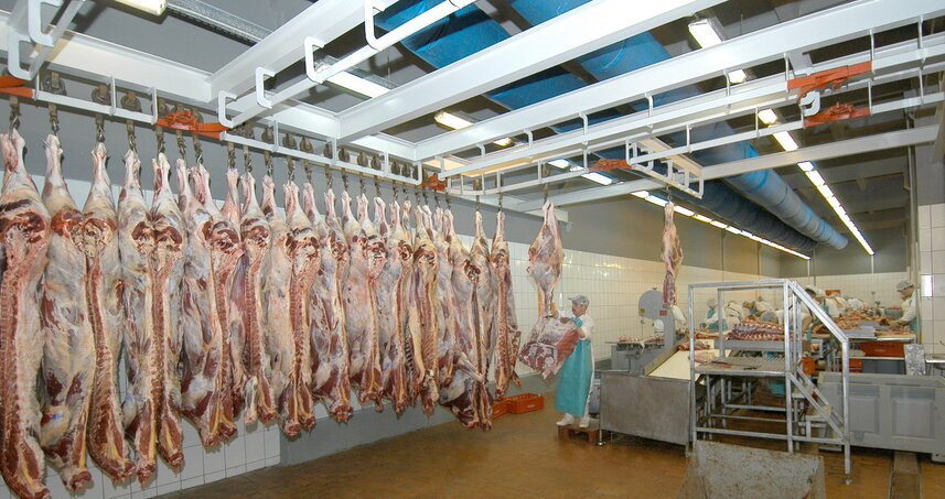 Дезинсекция на мясокомбинате в Рузе, цены на услуги